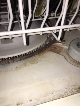  Dishwashers always have water sitting in the bottom sump area. Those of you that do not use the dishwasher very often still need to do the clean cycle.